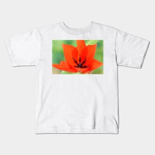 Tulipa praestans  &#39;Van Tubergen&#39;s Variety&#39;  Miscellaneous tulip Kids T-Shirt